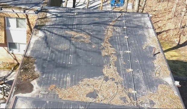 flat roof